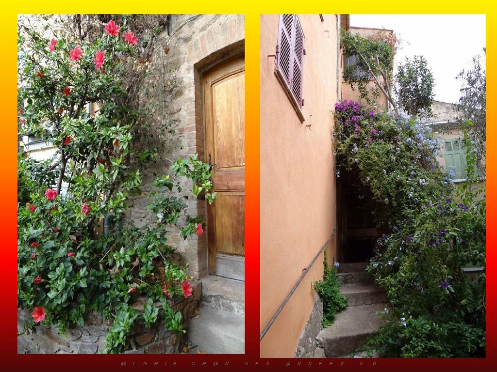 183 D25 BORMES LES MIMOSAS 3_000024.jpg